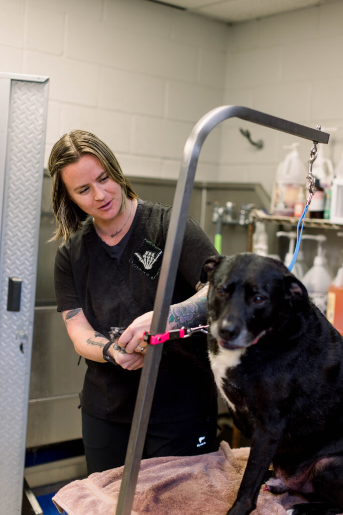 Dog Groomer trimming a dog's nails in Pensacola at Navy Blvd Animal Hospital